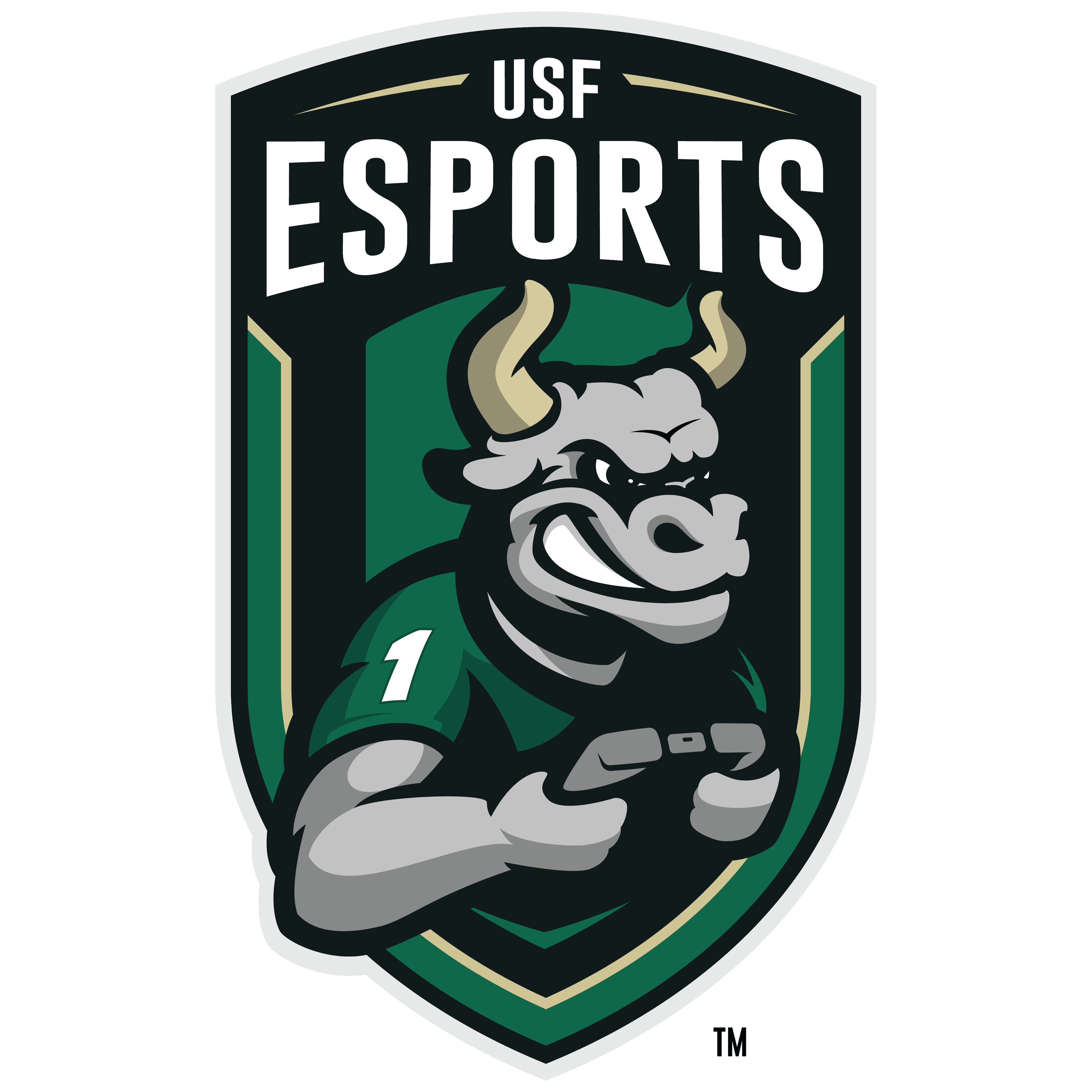 University of South Florida