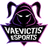 Vaevictis eSports