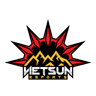 VietSun Esports logo