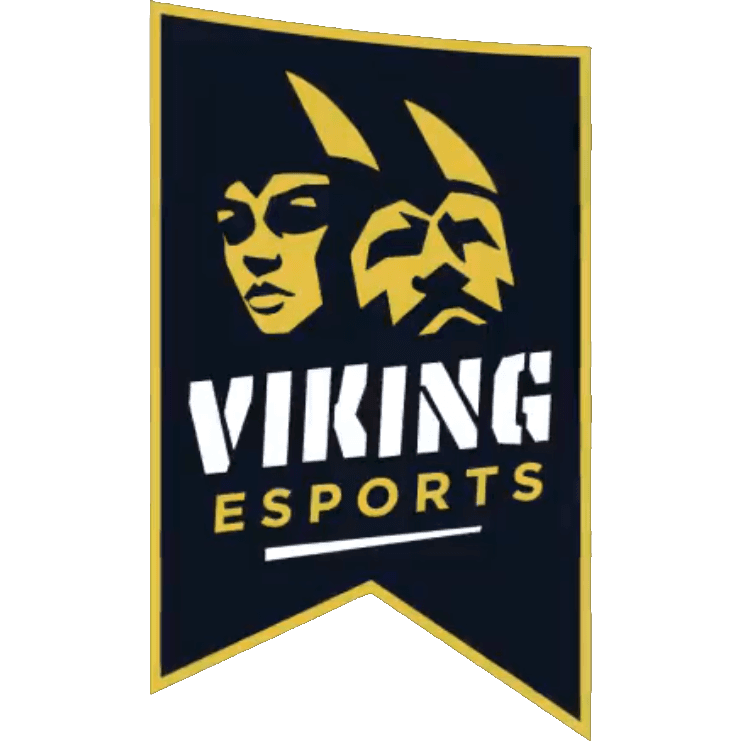Viking Esports (Norwegian Team)