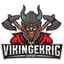 Vikingekrig Academy
