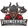 Vikingekrig Esports logo