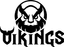 Vikings Gaming logo