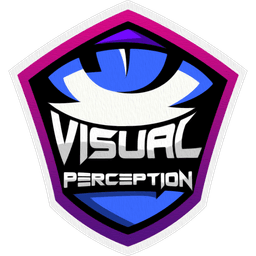 Visual Perception