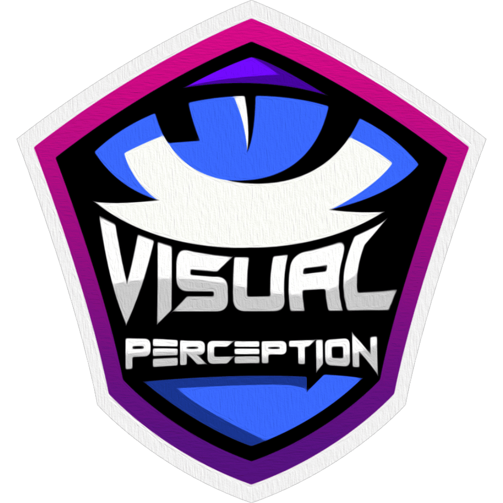 Visual Perception