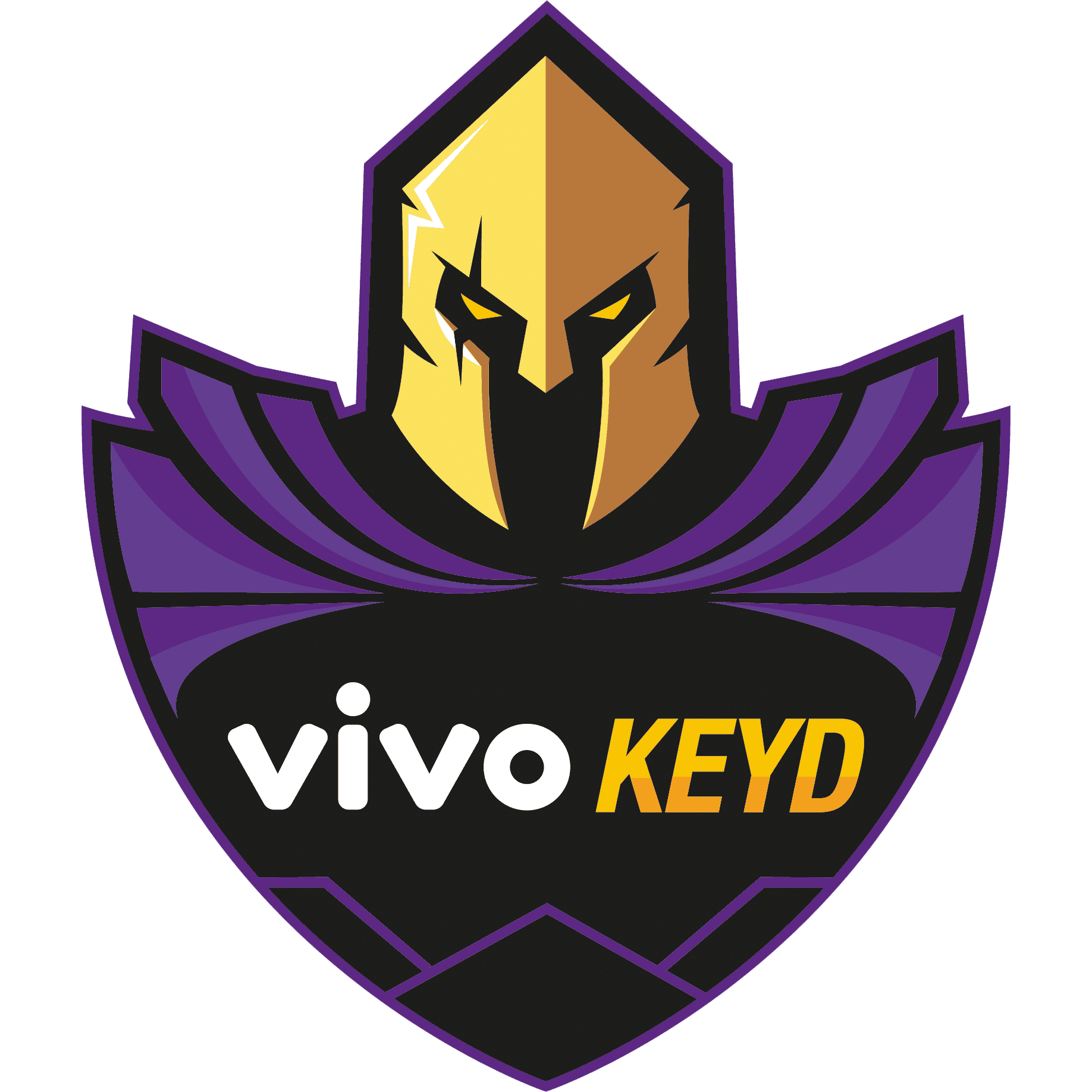 Vivo Keyd