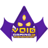 Void Gaming Phenomenon logo