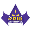 Void Gaming logo