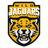 Wild Jaguars