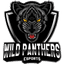 Wild Panthers Esports