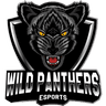 Wild Panthers Esports logo
