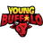 Young Buffalo