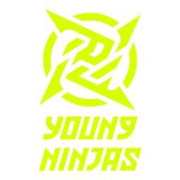 Young Ninjas